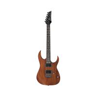 قیمت خرید فروش Ibanez RG421 MOL