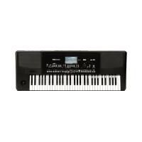 قیمت خرید فروش KORG Pa300
