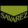 قیمت خرید فروش لوازم جانبی ساز و ادوات موسیقی ساوارز | Savarez Instrument Accessories 