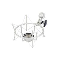 گلویی و لرزه گیر میکروفون نیومن دست دوم و کار کردهNeumann EA 1