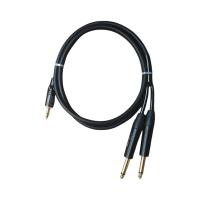 قیمت خرید فروش DM Group 3.5mm TRS to Dual 6.35mm TS 1.5m
