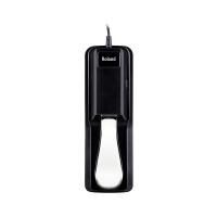 قیمت خرید فروش Roland Sustain Pedal