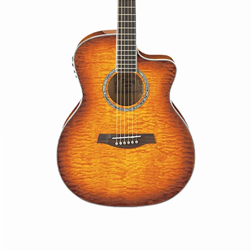 قیمت خرید فروش گیتار آکوستیک Ibanez A300E VV 