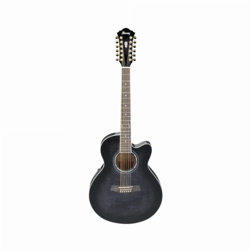 قیمت خرید فروش گیتار آکوستیک Ibanez AEL2012E TKS 