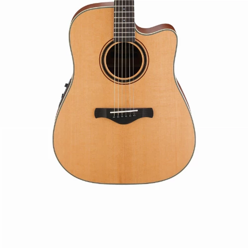 قیمت خرید فروش گیتار آکوستیک Ibanez AW250ECE LG 