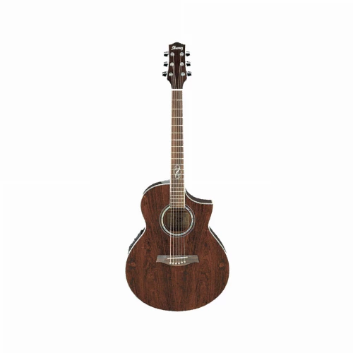 قیمت خرید فروش گیتار آکوستیک آیبانز مدل EW20WNE NT