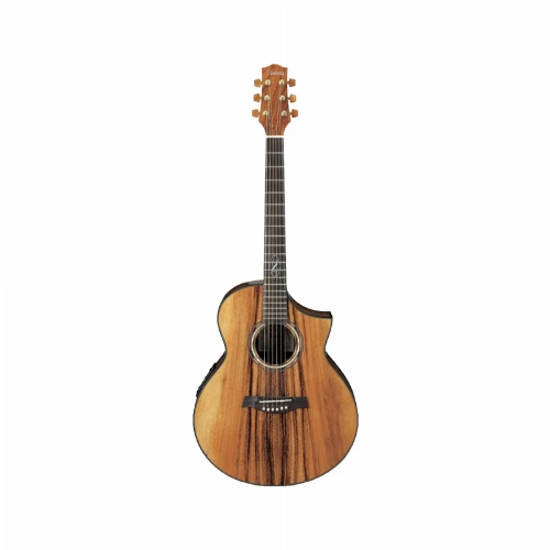 قیمت خرید فروش گیتار آکوستیک آیبانز مدل EW50