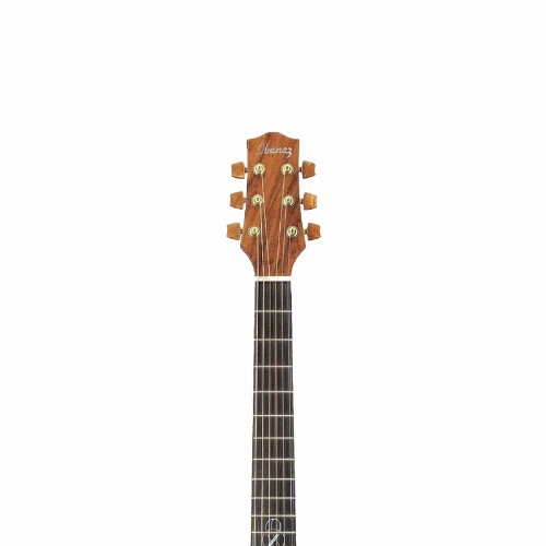 قیمت خرید فروش گیتار آکوستیک Ibanez EW50 