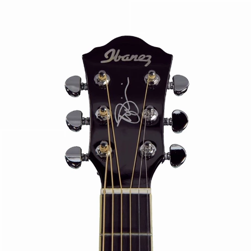 قیمت خرید فروش گیتار آکوستیک Ibanez JSA10 BK With Hard Case 