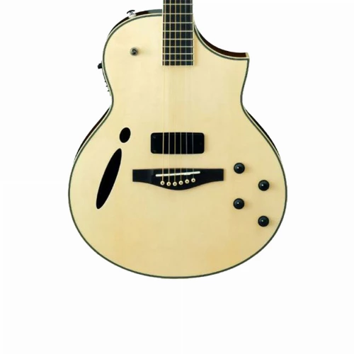 قیمت خرید فروش گیتار آکوستیک Ibanez MSC 380NT 