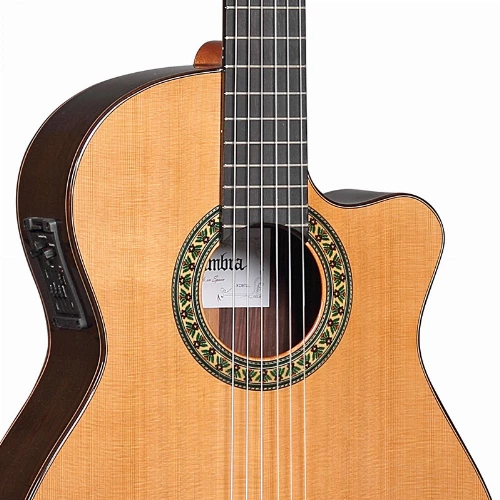 قیمت خرید فروش گیتار کلاسیک Alhambra 5P CT E2 