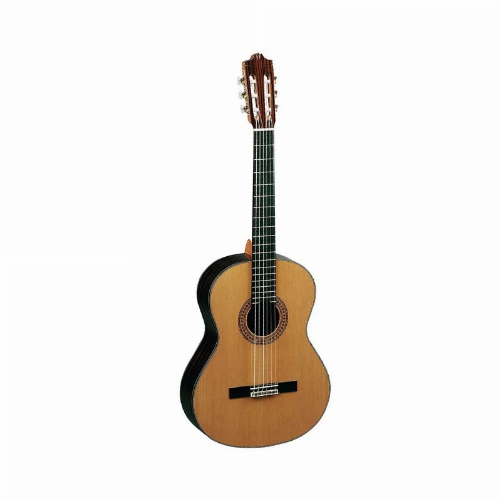 قیمت خرید فروش گیتار کلاسیک Alhambra 6P CTW E1 