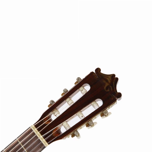 قیمت خرید فروش گیتار کلاسیک Ibanez G100 NT 