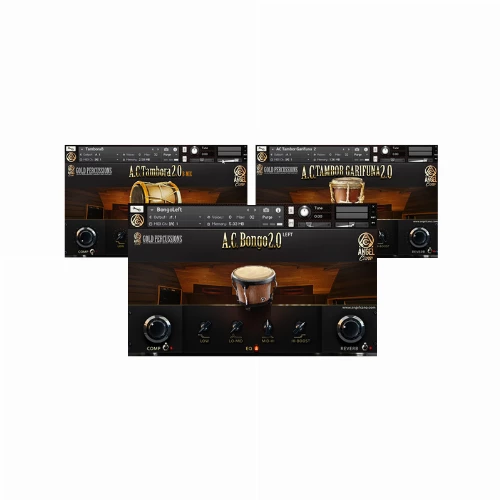قیمت خرید فروش بانک کانتکت Angel Cano Gold Percussions 