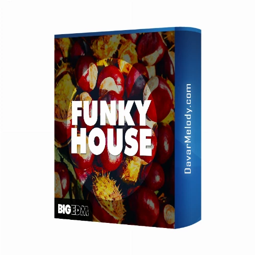قیمت خرید فروش لوپ بیگ ای دی اِم مدل Funky House