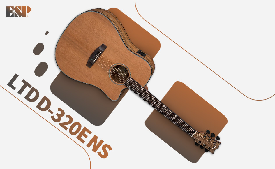 قیمت خرید فروش گیتار آکوستیک ای اس پی LTD D-320E NS