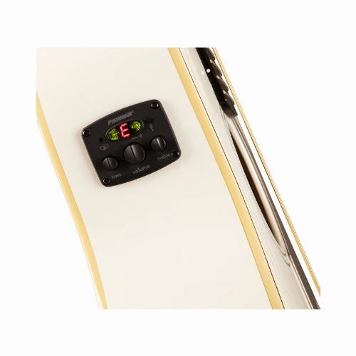 قیمت خرید فروش گیتار آکوستیک Fender Malibu Player Arctic Gold 