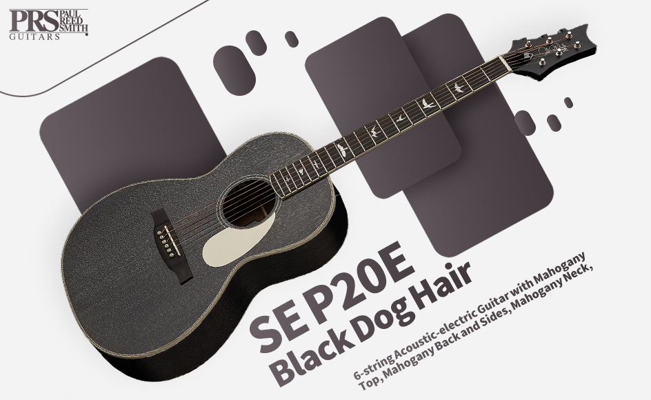 قیمت خرید فروش گیتار آکوستیک پی آر اس SE P20E Black Dog Hair