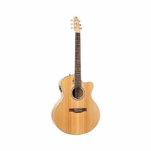 قیمت خرید فروش گیتار آکوستیک سیگال مدل Natural Elements Dreadnought SG Natural Cherry