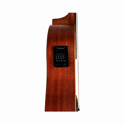 قیمت خرید فروش گیتار آکوستیک Tanglewood TWR2 PE Natural Satin 