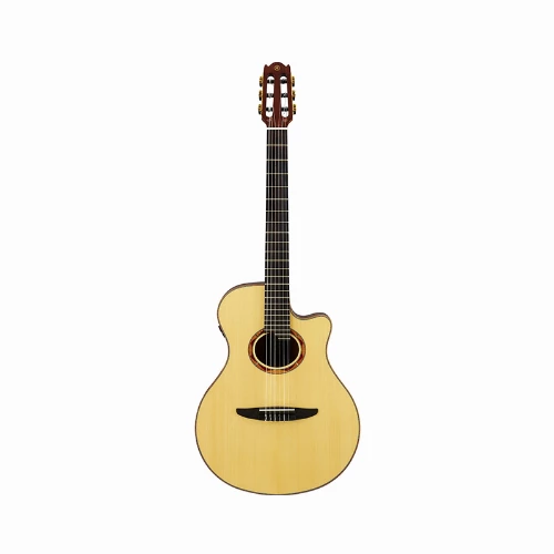 قیمت خرید فروش گیتار آکوستیک Yamaha NTX5 NT 