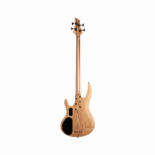 قیمت خرید فروش گیتار باس ESP LTD B-204SM Natural Satin 