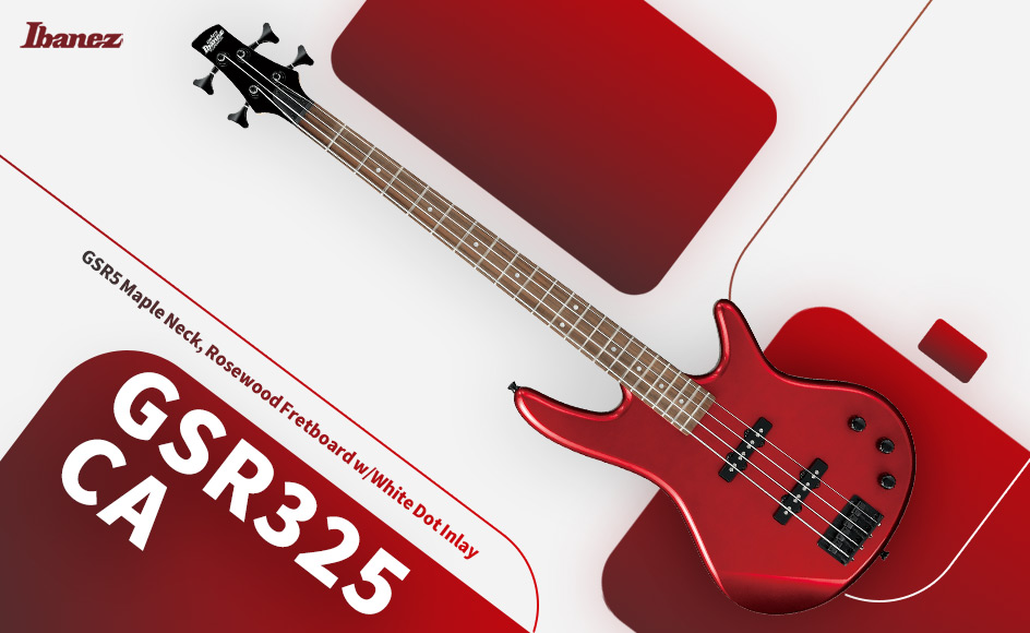 قیمت خرید فروش گیتار باس آیبانز GSR325 CA