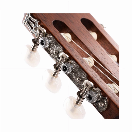 قیمت خرید فروش گیتار کلاسیک Cort Classic AC100 OP 