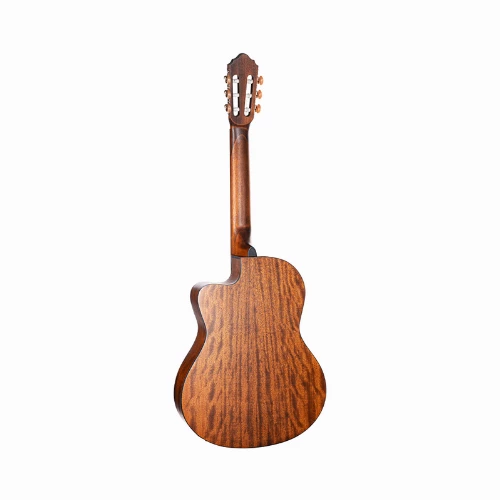 قیمت خرید فروش گیتار کلاسیک Cort Classic AC120CE OP 