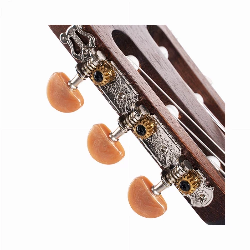 قیمت خرید فروش گیتار کلاسیک Cort Classic AC120CE OP 
