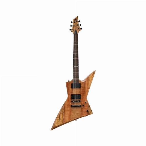 قیمت خرید فروش گیتار الکتریک ESP LTD FX-260 Spalted Maple 