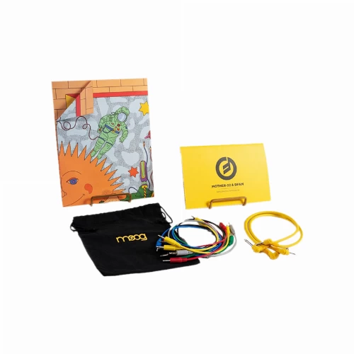 قیمت خرید فروش سینتی سایزر Moog Sound Studio: Mother-32 And DFAM 