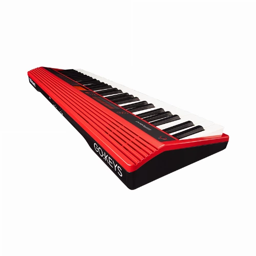 قیمت خرید فروش پیانو دیجیتال Roland GO:KEYS (GO-61K) 