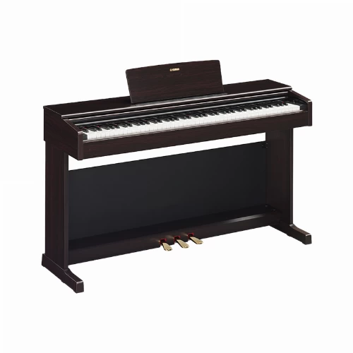 قیمت خرید فروش پیانو دیجیتال Yamaha ARIUS YDP-144 Rosewood 