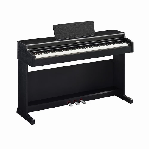 قیمت خرید فروش پیانو دیجیتال Yamaha ARIUS YDP-165 Black 