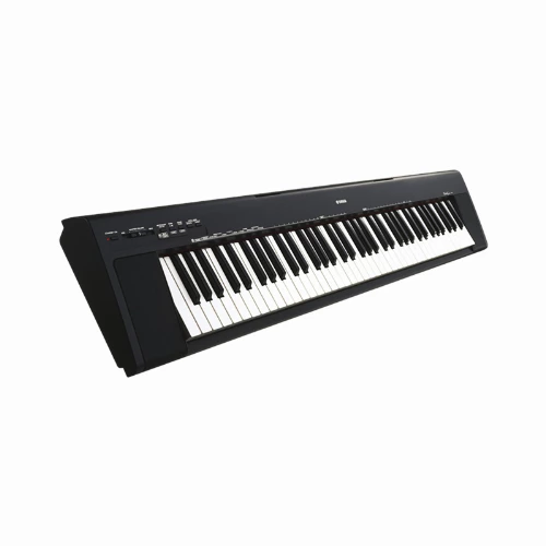 قیمت خرید فروش پیانو دیجیتال Yamaha NP-30 