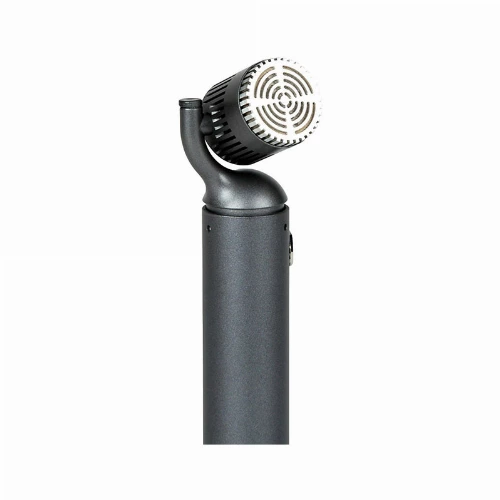 قیمت خرید فروش میکروفون ساز Blue Microphones Hummingbird 