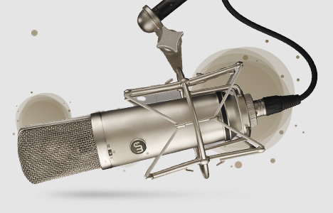 قیمت خرید فروش میکروفون وارم آدیو WA-87 R2 Nickel