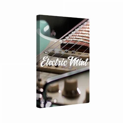 قیمت خرید فروش بانک کانتکت نیتیو اینسترومنتس مدل Session Guitarist - Electric Mint